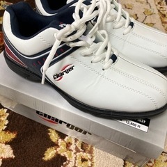 ⛳️未使用ソフトゴルフシューズの画像