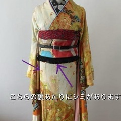 振袖&帯のセット　個性的　孔雀柄　の画像