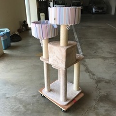 キャットタワーの画像