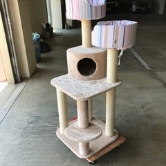 キャットタワー