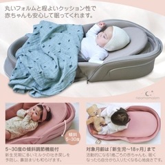  美品★　ベッドインベッド ネオママイズム　ベビーベッド の画像
