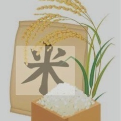お米2kg②の画像