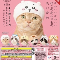 ちいかわ　猫のかぶりもの