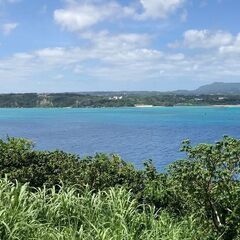 新規開業のホテルのオープニングスタッフ大募集（調理補助スタッフ）の画像