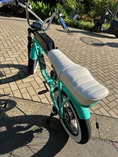 FLOW  E -BIKE  電動アシスト自転車