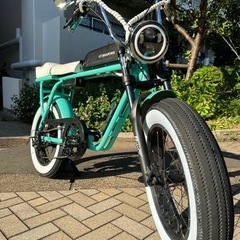 FLOW E -BIKE 電動アシスト自転車