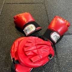 ボクシンググローブ/ミットの画像