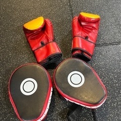 ボクシンググローブ/ミットの画像