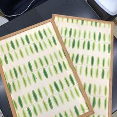 コルクボード　２枚セット　両面裏布貼の画像