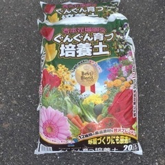 ガーデニング