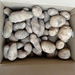 食品