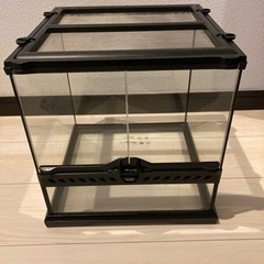 美品　GEX グラステラリウム  3030 グラテラ　爬虫類ケージの画像