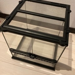 美品　GEX グラステラリウム  3030 グラテラ　爬虫類ケージの画像