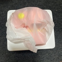 キッズカメラの画像