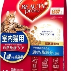 ご寄付をお願い致します。仔猫からシニアまでのフード、猫砂（ウッド...