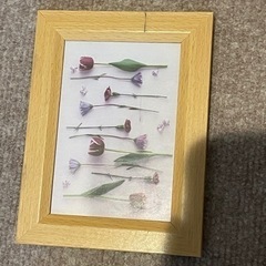 家具 ミラー/鏡の画像