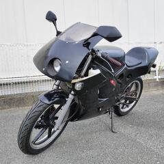 NS-1 実動