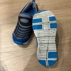 ナイキ ダイナモ 【20.5cm】の画像