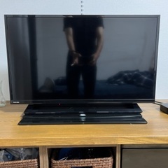 TOSHIBA REGZA 液晶テレビ 19/24/32S22 32型