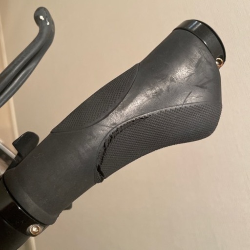 電動自転車
