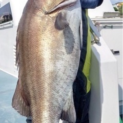 釣り仕立て　　メンバー募集