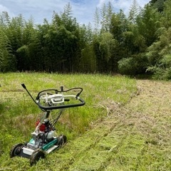 除草🌱シーズン到来！草刈ります。