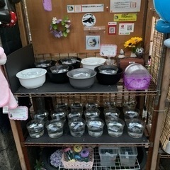 6月12日　めだかの蓮音無人販売所　めだか販売　メダカ販売　金魚販売