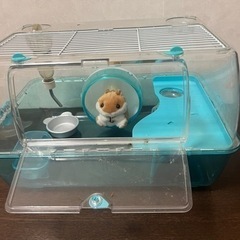 サンコー　ハムスター用ケージセット