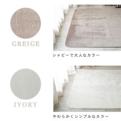 カーペット Lサイズの画像