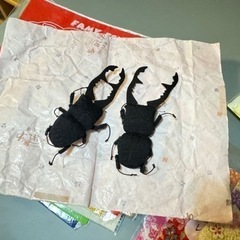 手芸用品色々 フェルト 刺繍糸 端切れなど ハンドメイド用 の画像