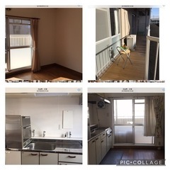 フリーレンと一ヶ月　ペット相談　マンション一階