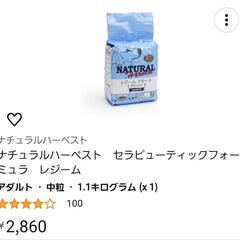 ドッグフード