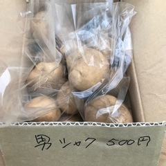 新じゃが　男爵　2.5kg箱詰