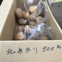 新じゃが　　きたあかり　2.5kg箱詰