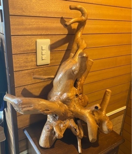 流木