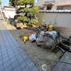 庭石　巨石　ガ－デニング　日本庭園の画像