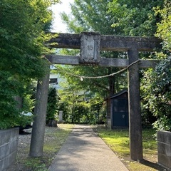 2024年7月7日　たまがわ むすび市