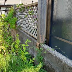 古い木製フェンスです