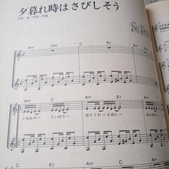 「夕暮れ時はさびしそう」の画像