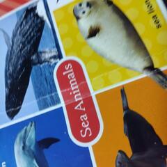 KIDSFIRST100の画像