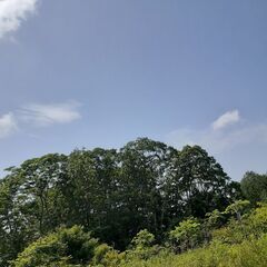 HSK北海道遺品生前整理業協同組合(遺生協)🆓0120-66-8...