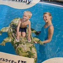 おもちゃ パズルの画像
