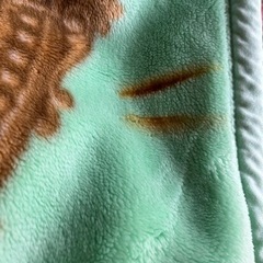 毛布の画像