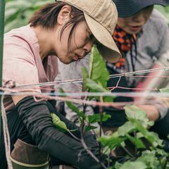 週末開講の社会人向け農業スクール | 2026年春の入学募集中！【埼玉農場】の画像