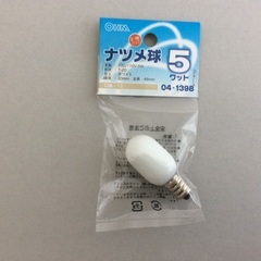 ナツメ球　オーム電機
