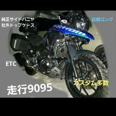スズキ　Vストローム　250