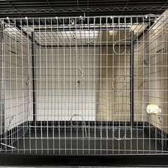 【大至急】値下不可　スリムエコノミー キング シルバー フェレッ...