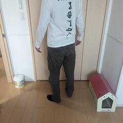 HIKOKIコラボロンT