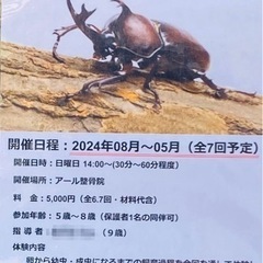 🇯🇵国産カブトムシ🪲飼育体験教室