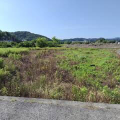広川町の農地です。２種農地です。